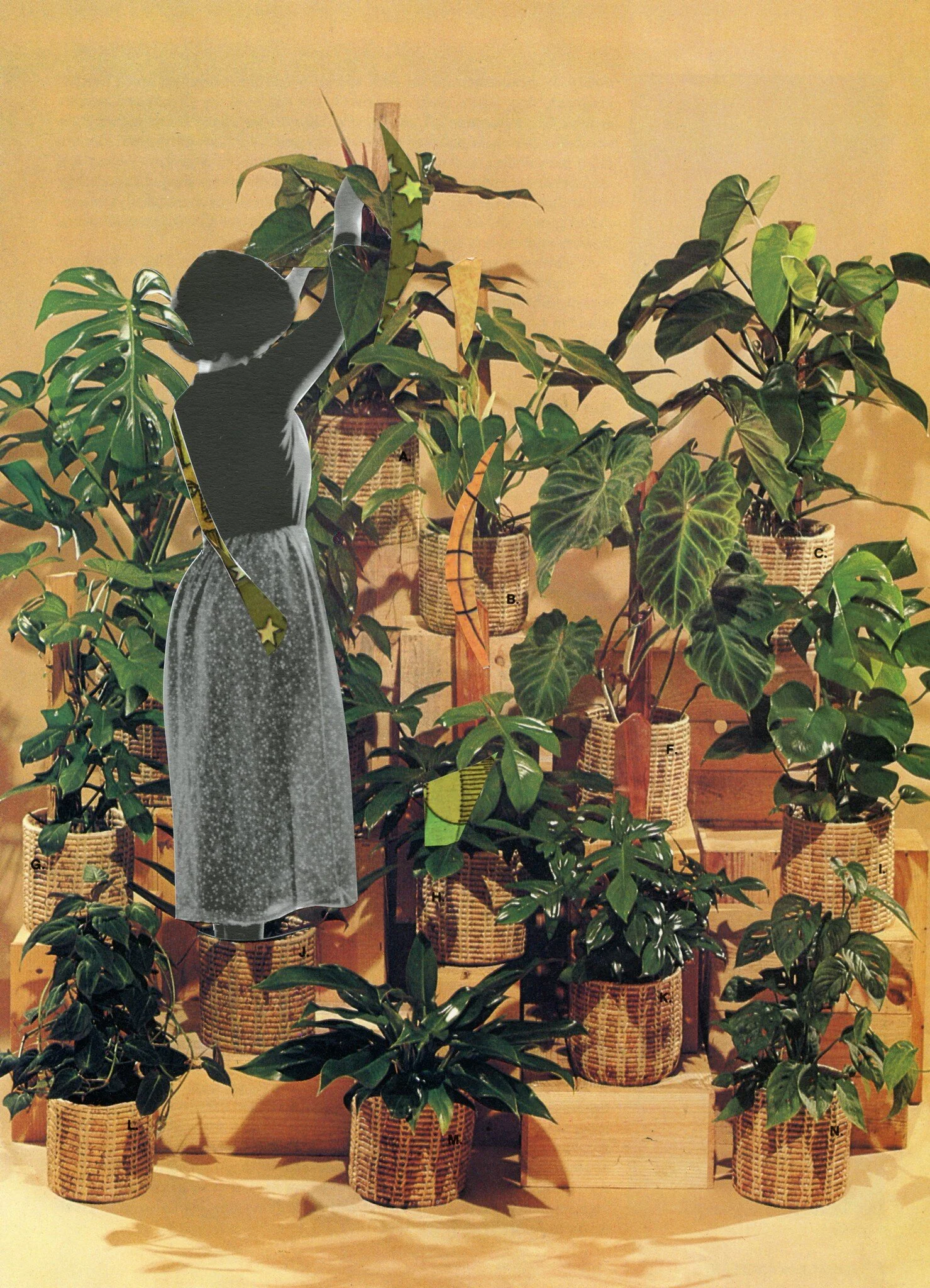 Houseplant Lady I.
