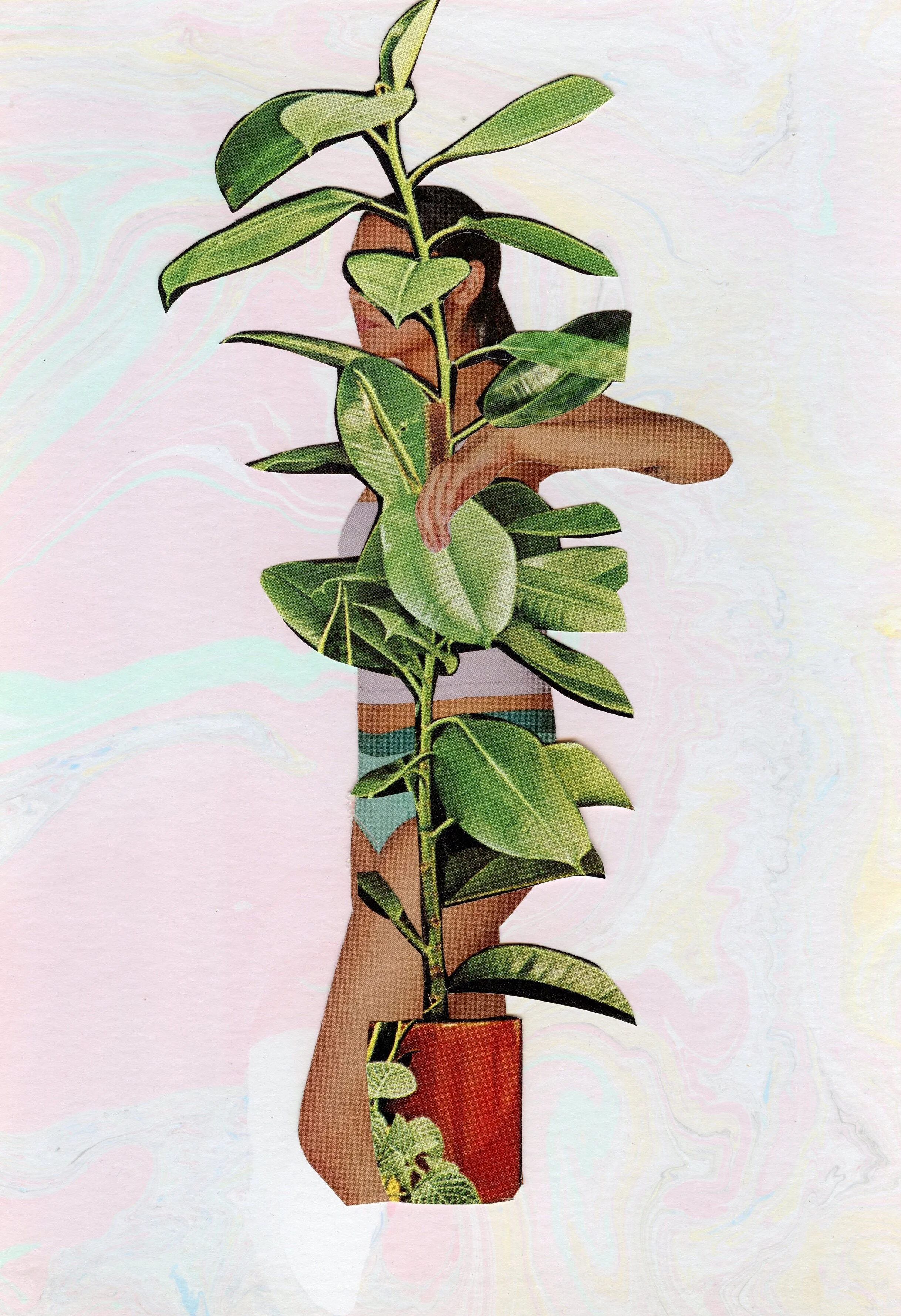 Cutpasteface_HouseplantLady.jpg