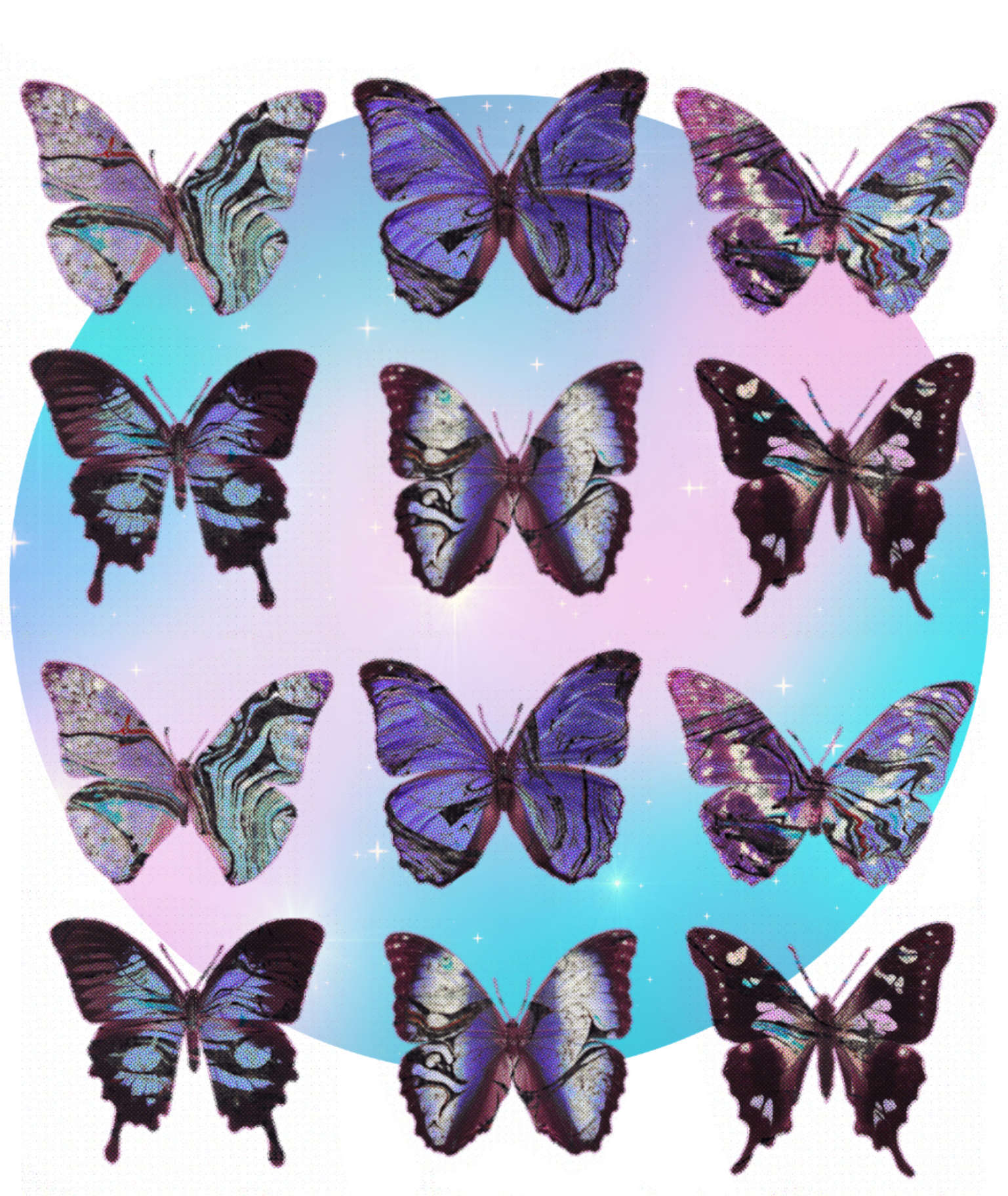 IMG_1919.PNG