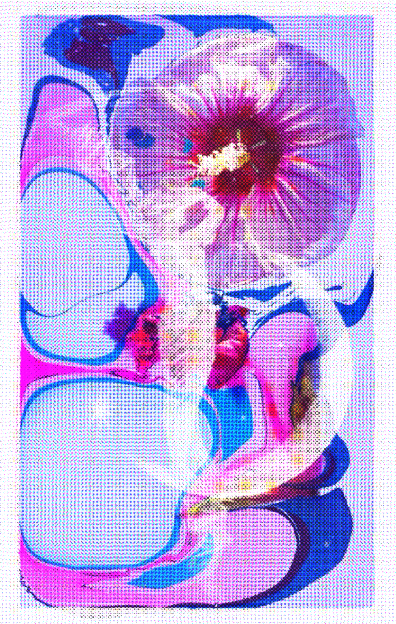 IMG_2297.PNG