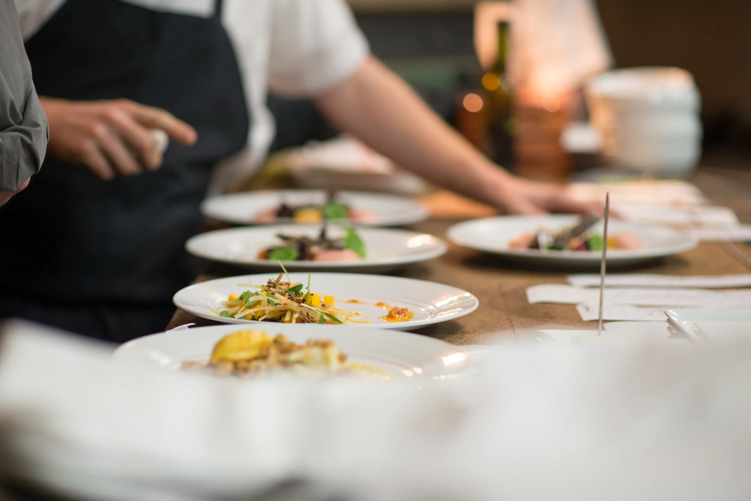 Progressive American Cuisine