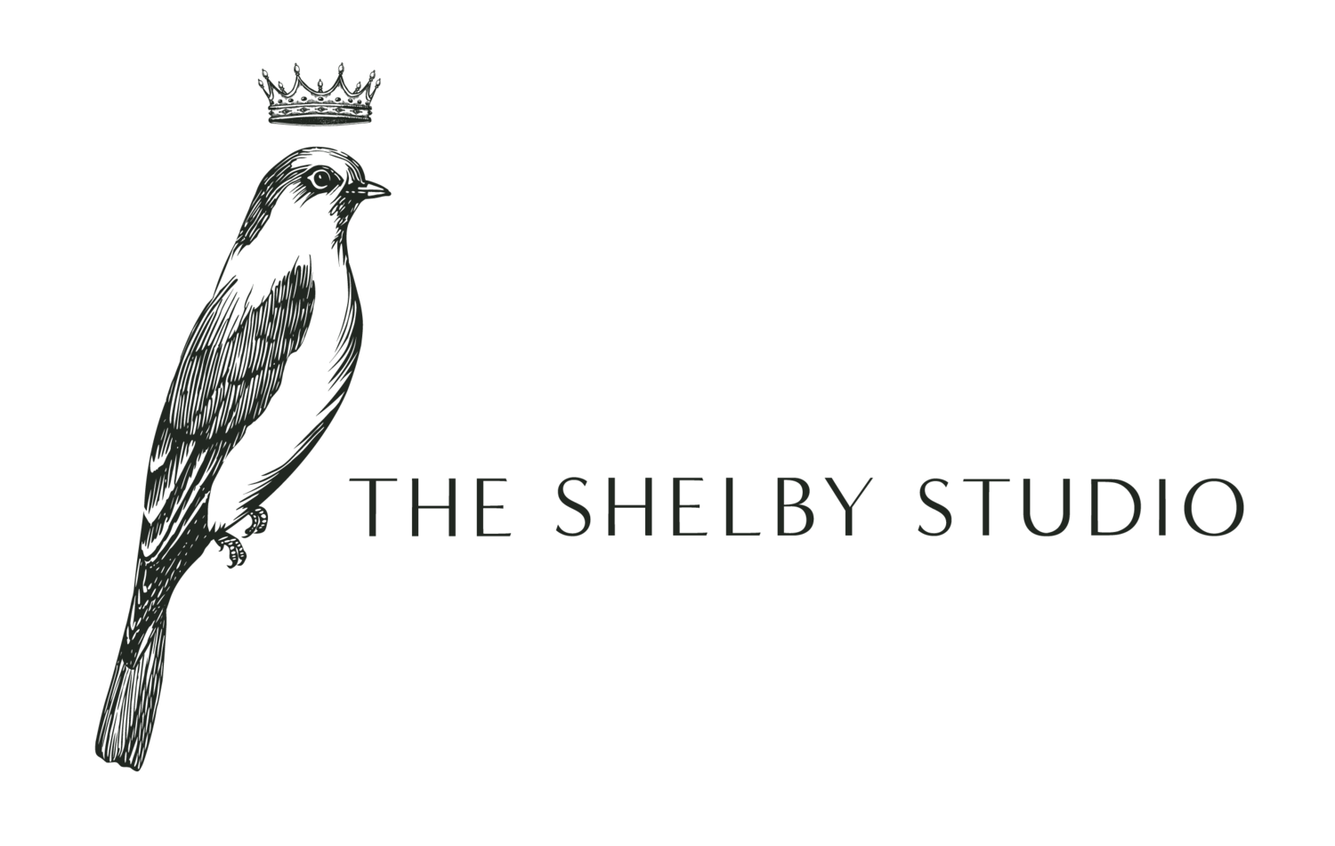 The Shelby Studio