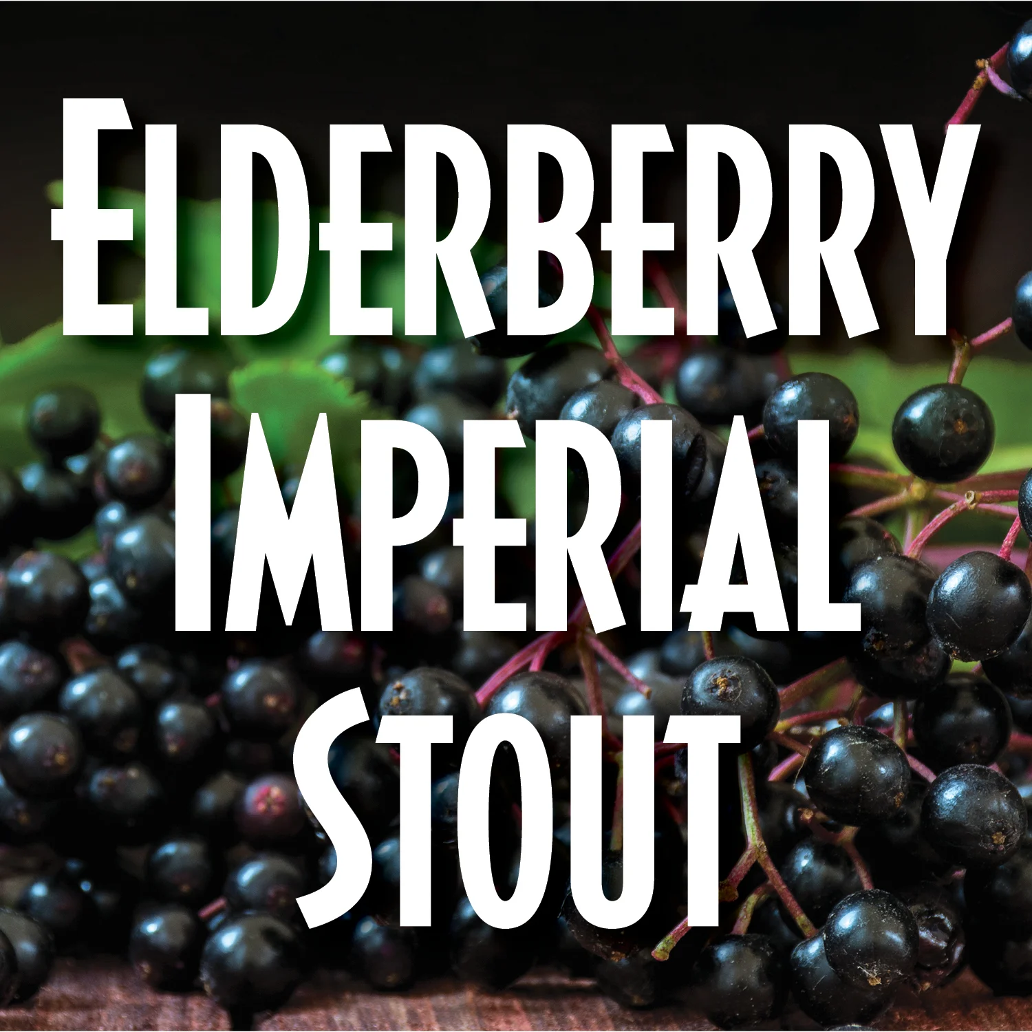 Elderberry Imperial Stout
