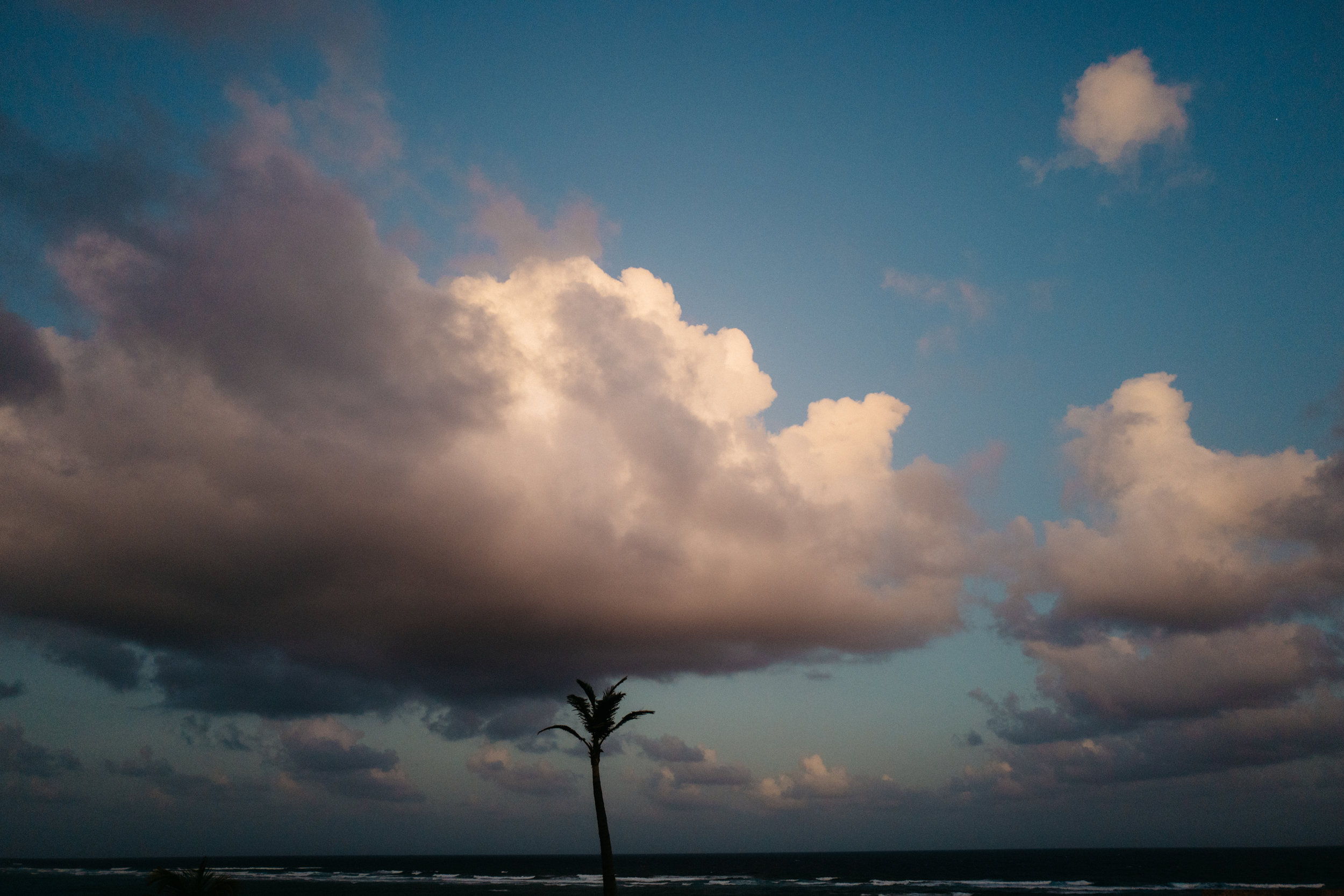 L1010480-2.jpg