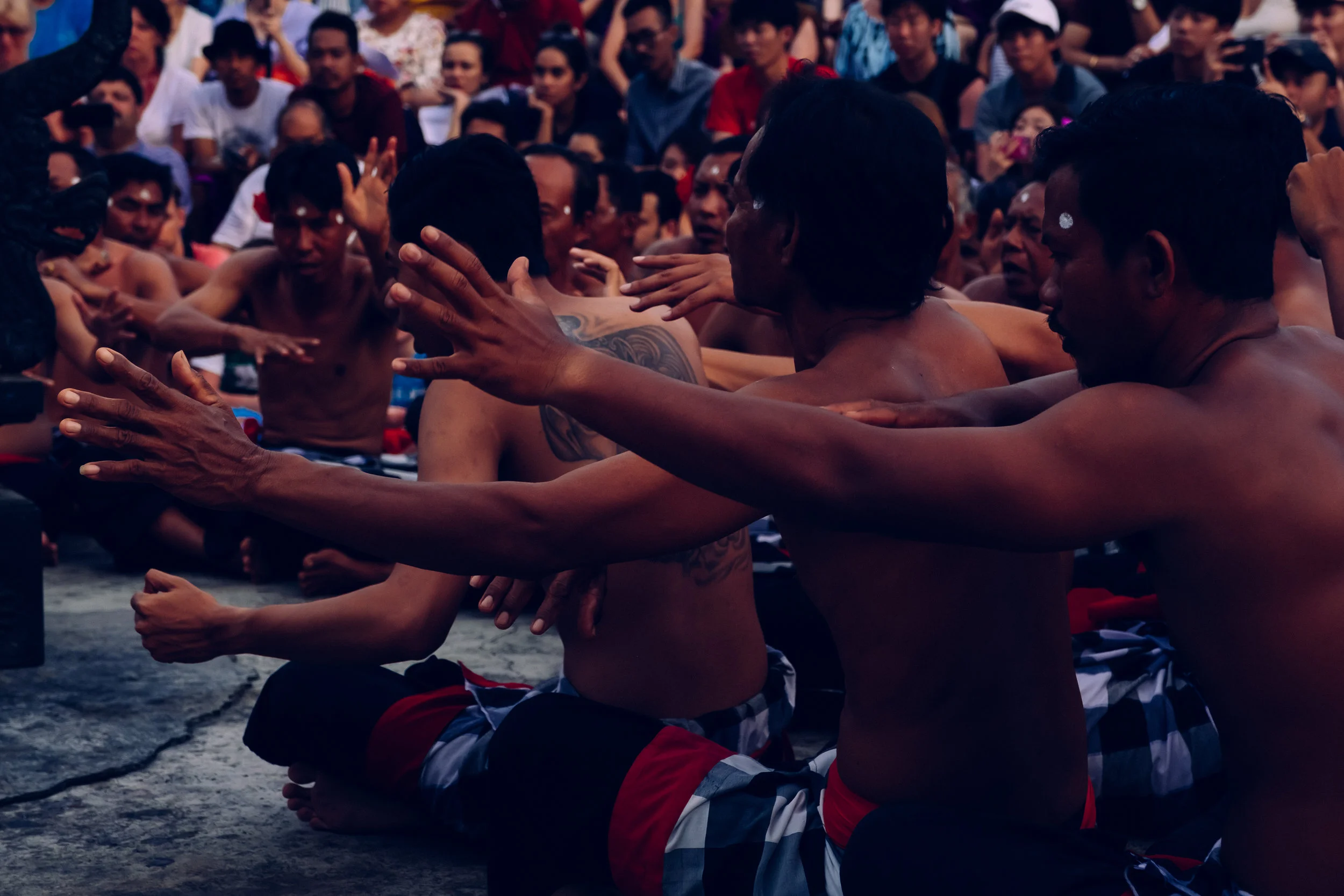 DSCF8413.jpg