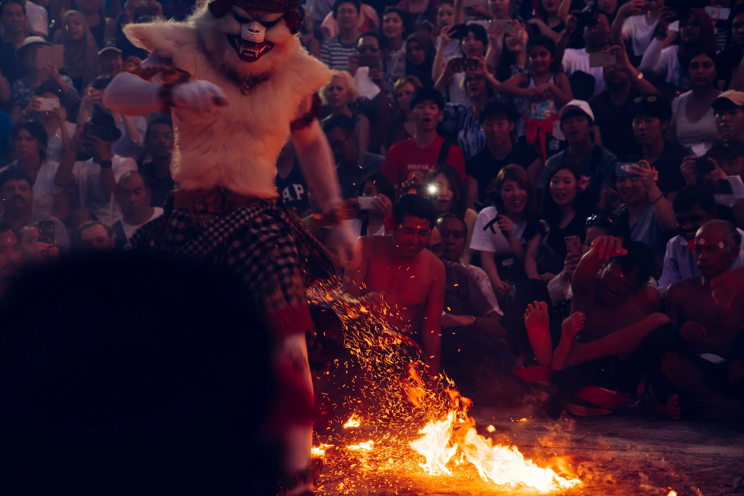 DSCF8473.jpg