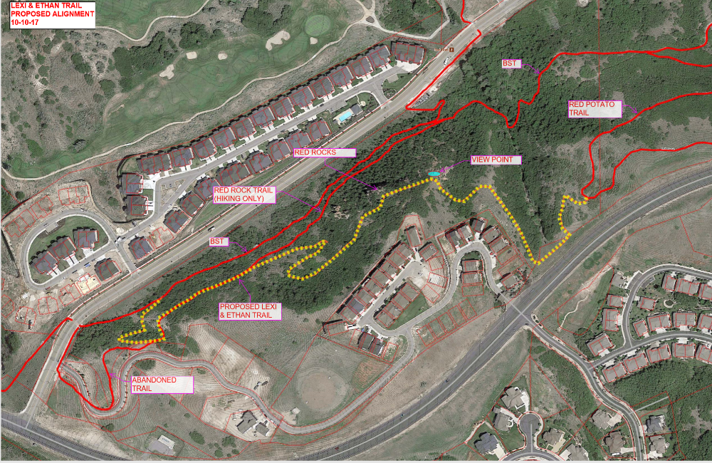 Arial view of the trail layout ( In yellow)