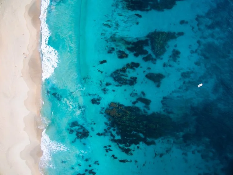 Salty+Wings+Wallpaper+-+Smiths+Beach,+Margaret+River.jpg