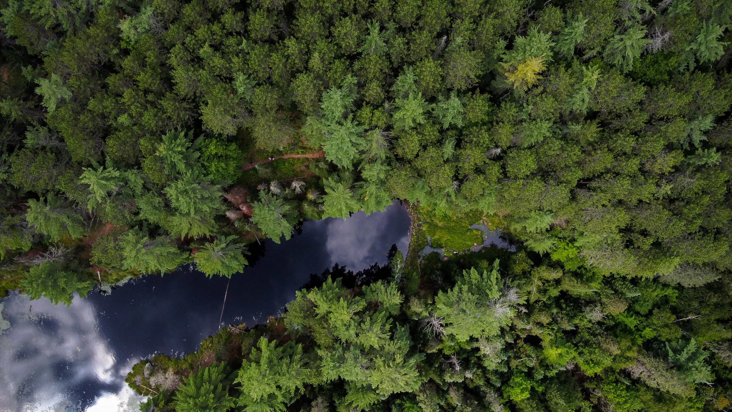 DJI_0162 - edited.jpg