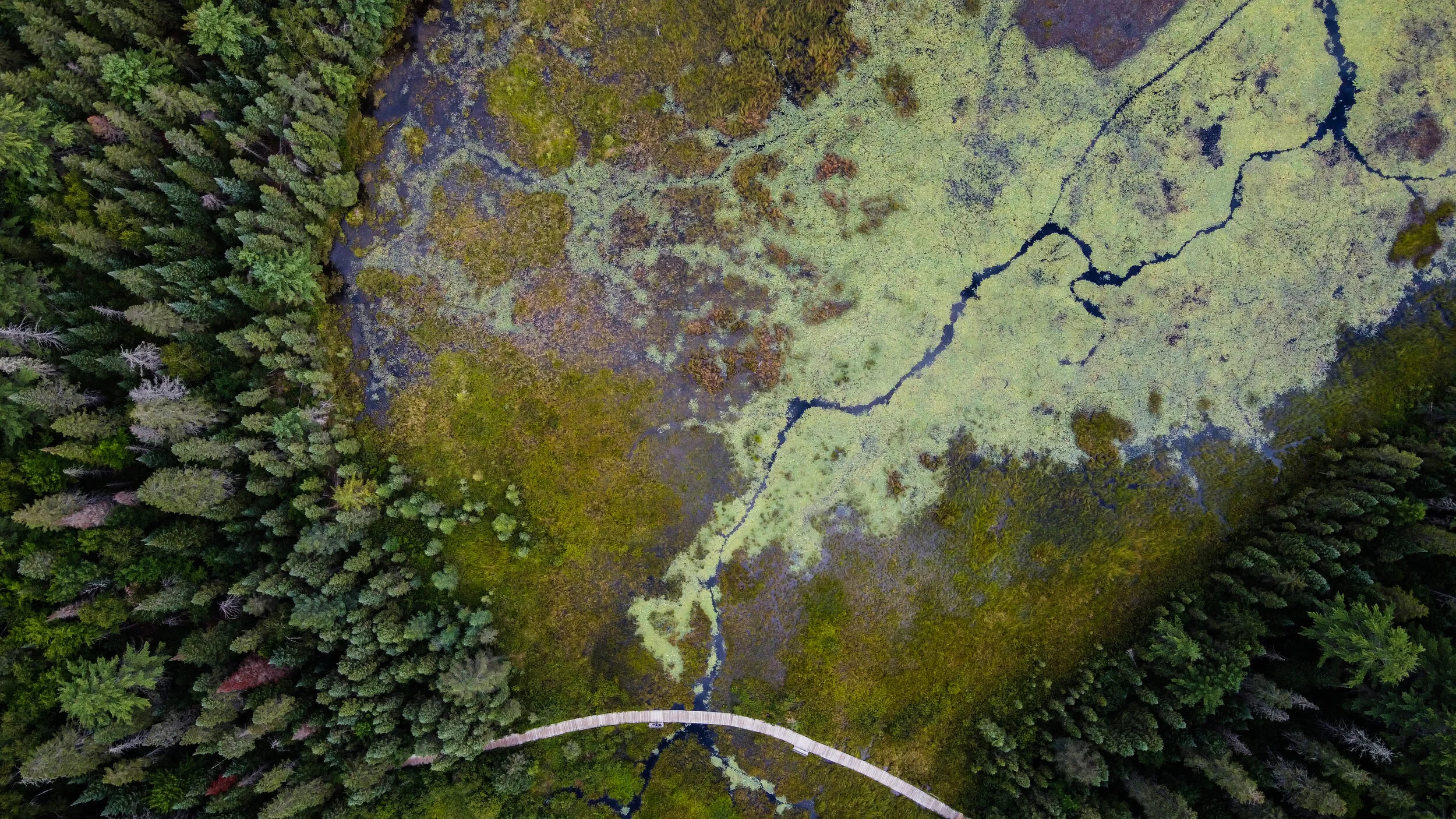 DJI_0153 - edited.jpg