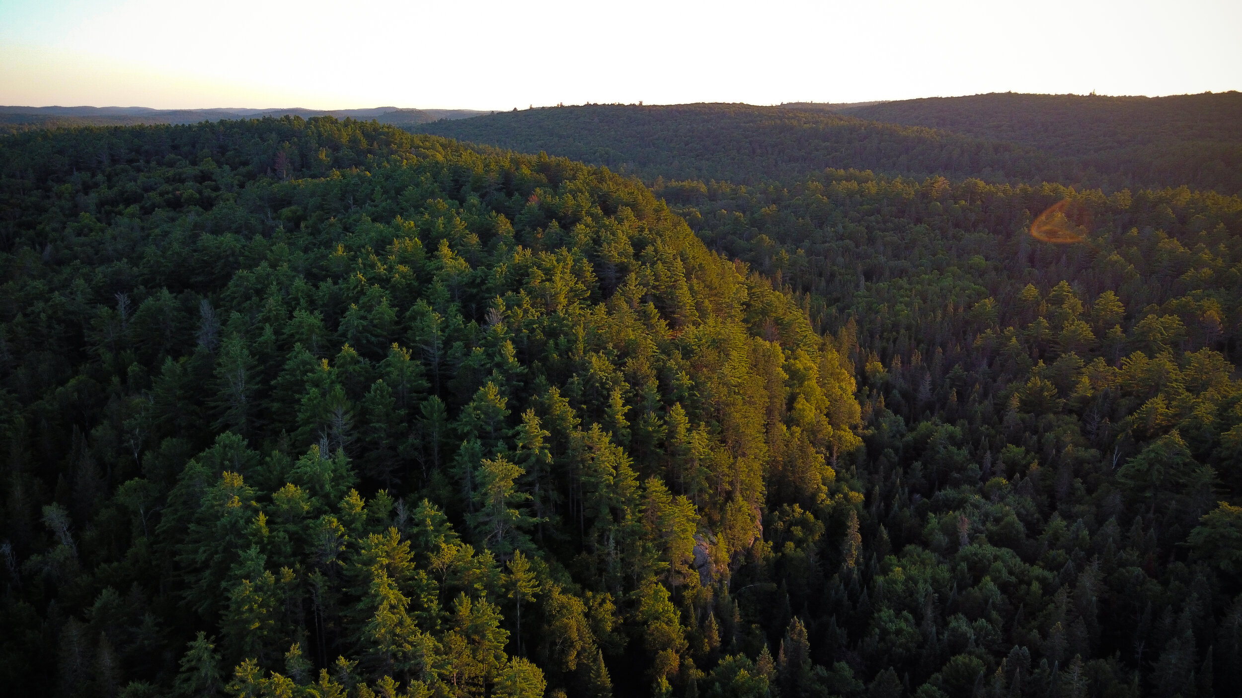 DJI_0110 - edited.jpg