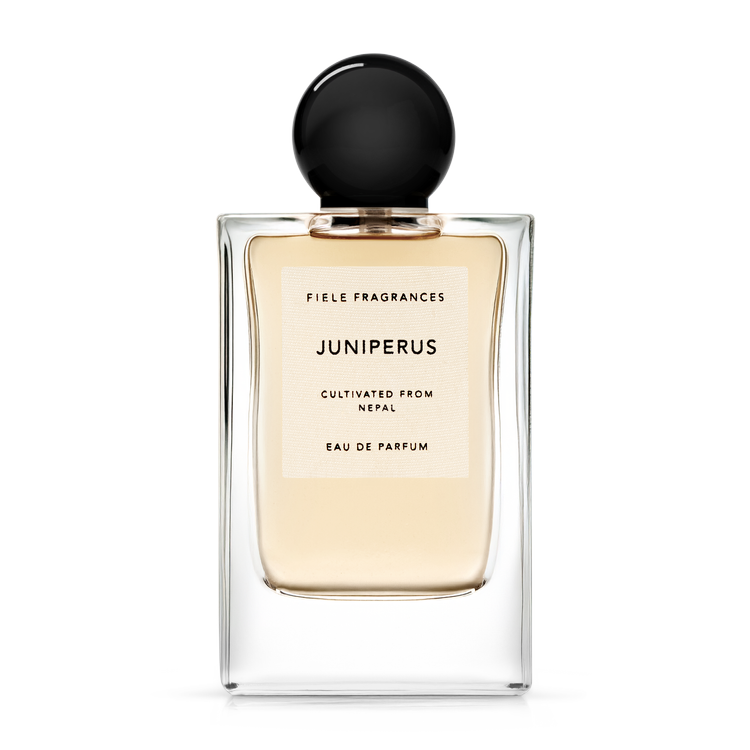 Fiele Fragrances Cedrus フィエールフレグランス FIELE FRAGRANCES CEDRUS - 50 ML フィエールフレグランス