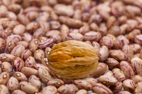 Walnut Among Beans.png