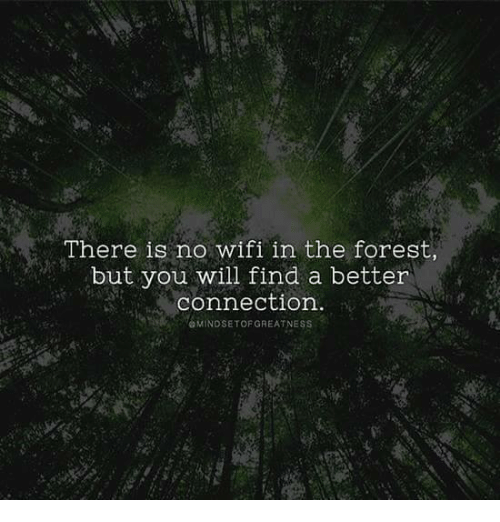 there-is-no-wifi-in-the-forest-but-you-will-25854056.png