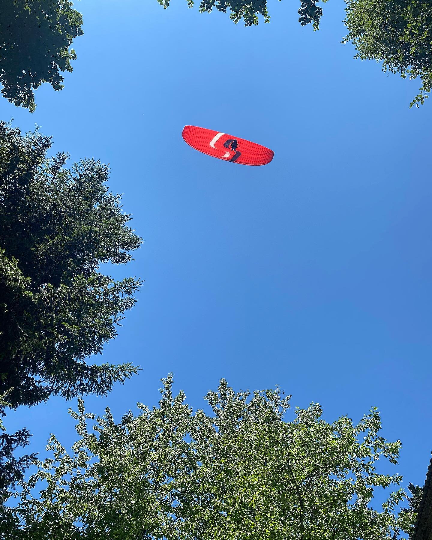 Surfing the paradisical skies in the French Alps. There is a parapente take off point just behind the #chaletfnet . I have been offered a ride .. or should i just sit on my lounger? A bit scared to fly but imagine the views of Mont Blanc, the Chaine 