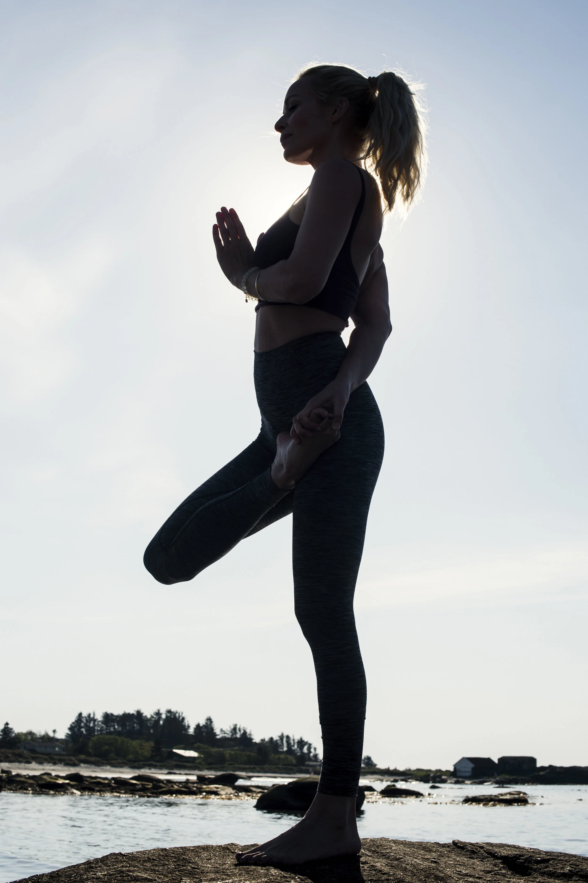  Ardha badda padmasana-- stående halv lotus variant