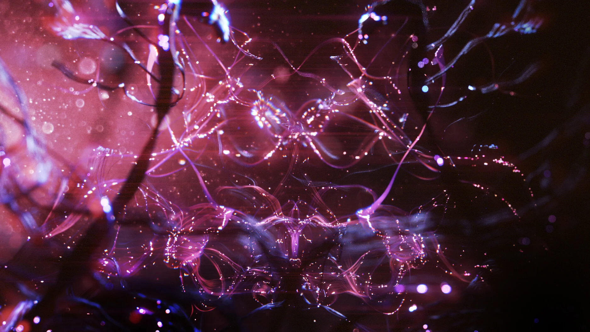 SH06_brain_v01_0080.jpg
