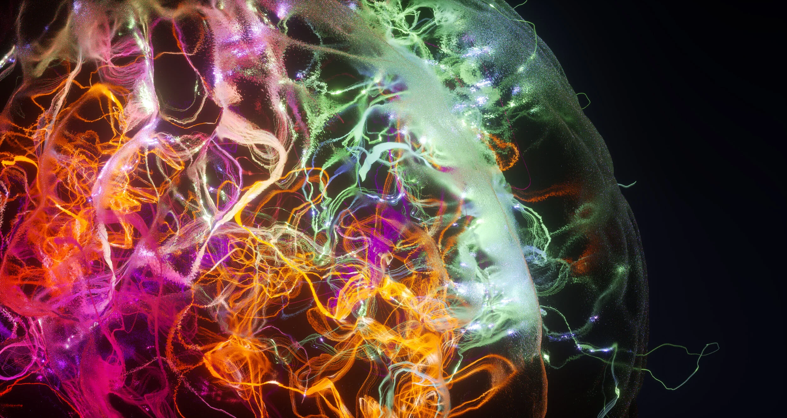SH04_brain_neurons_couleurs.jpg