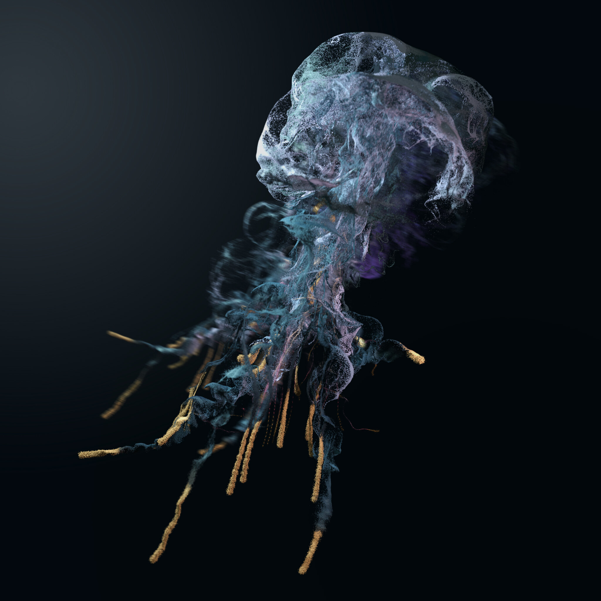 meduse.jpg