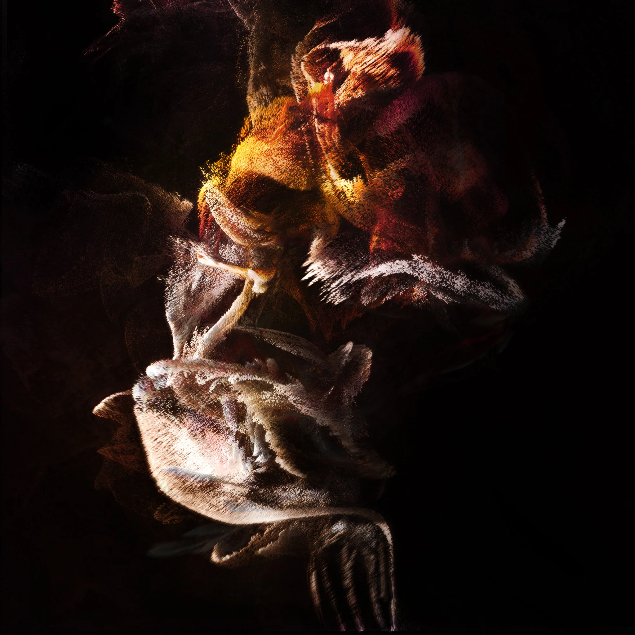 poulet_v002 - Copie.jpg