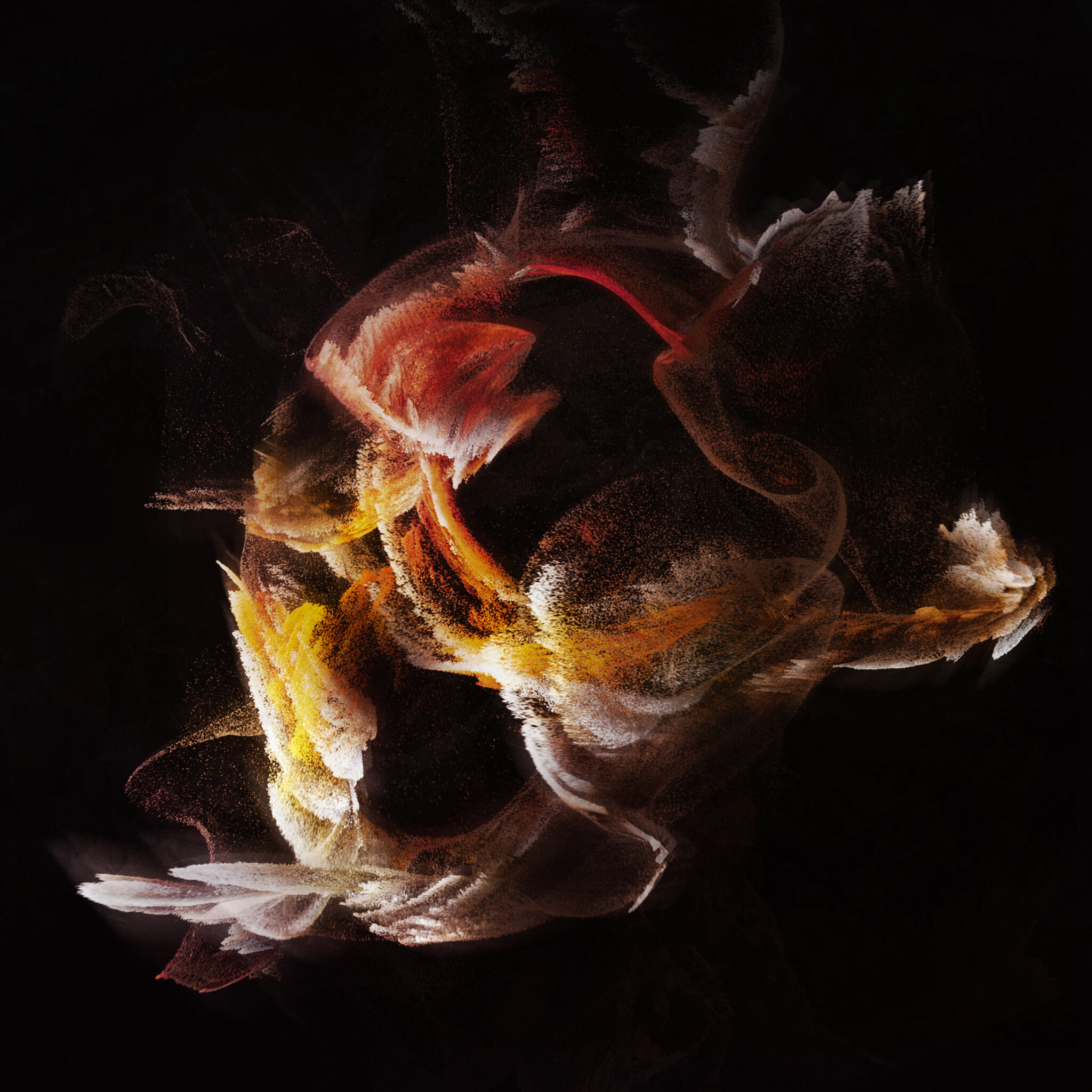 poulet_v001.jpg