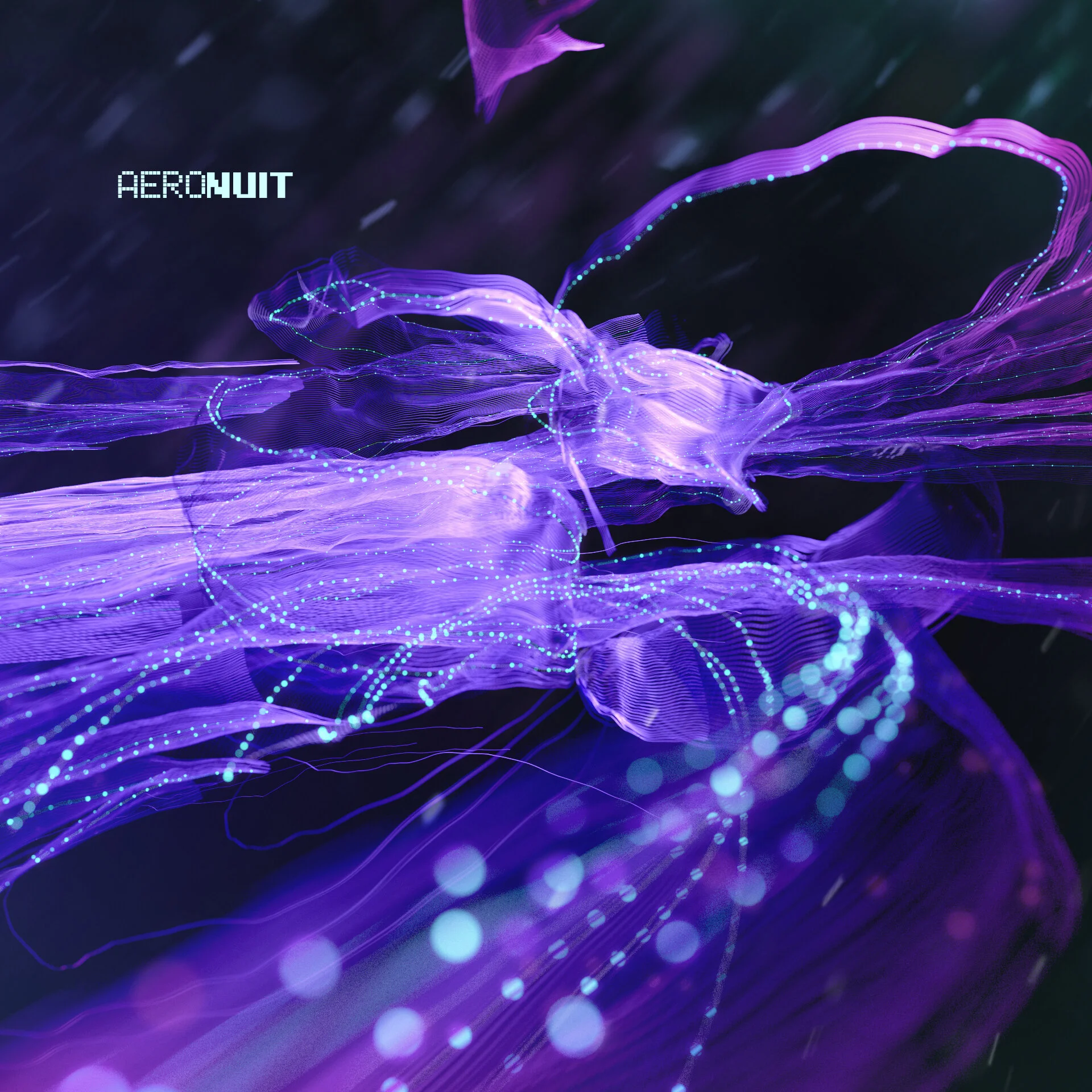 qero02_new04.jpg