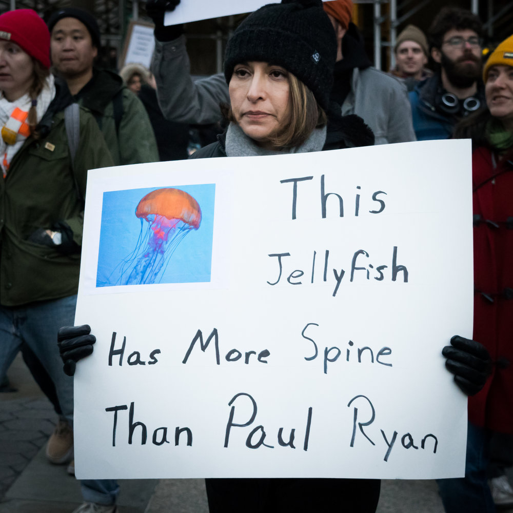 "This Jellyfish"