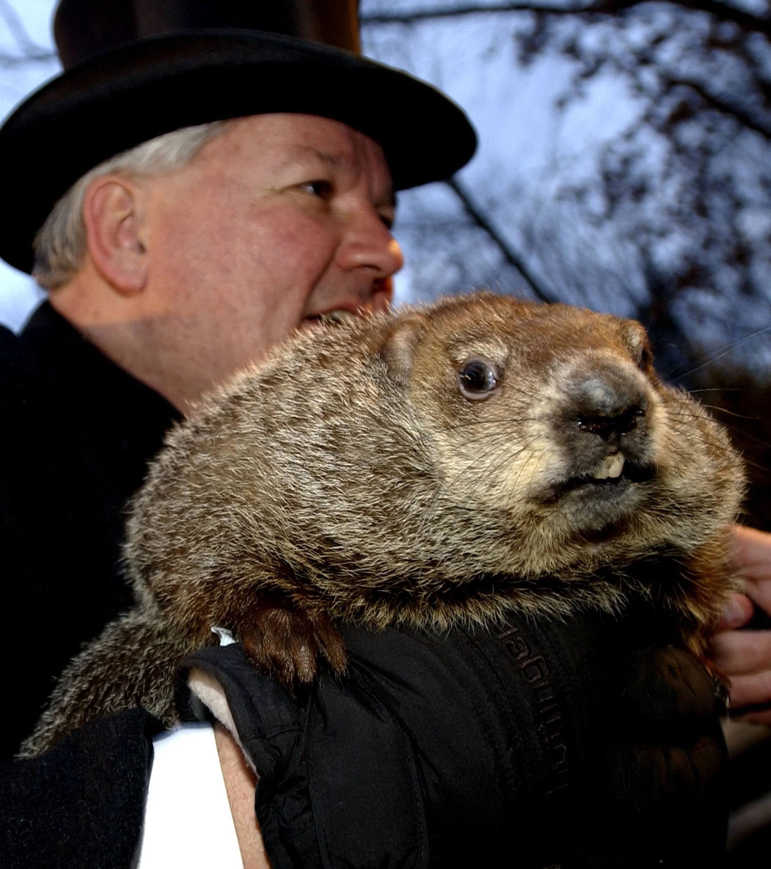 Groundhog Day: Getting Human Surge Capacity Right In Emergencies