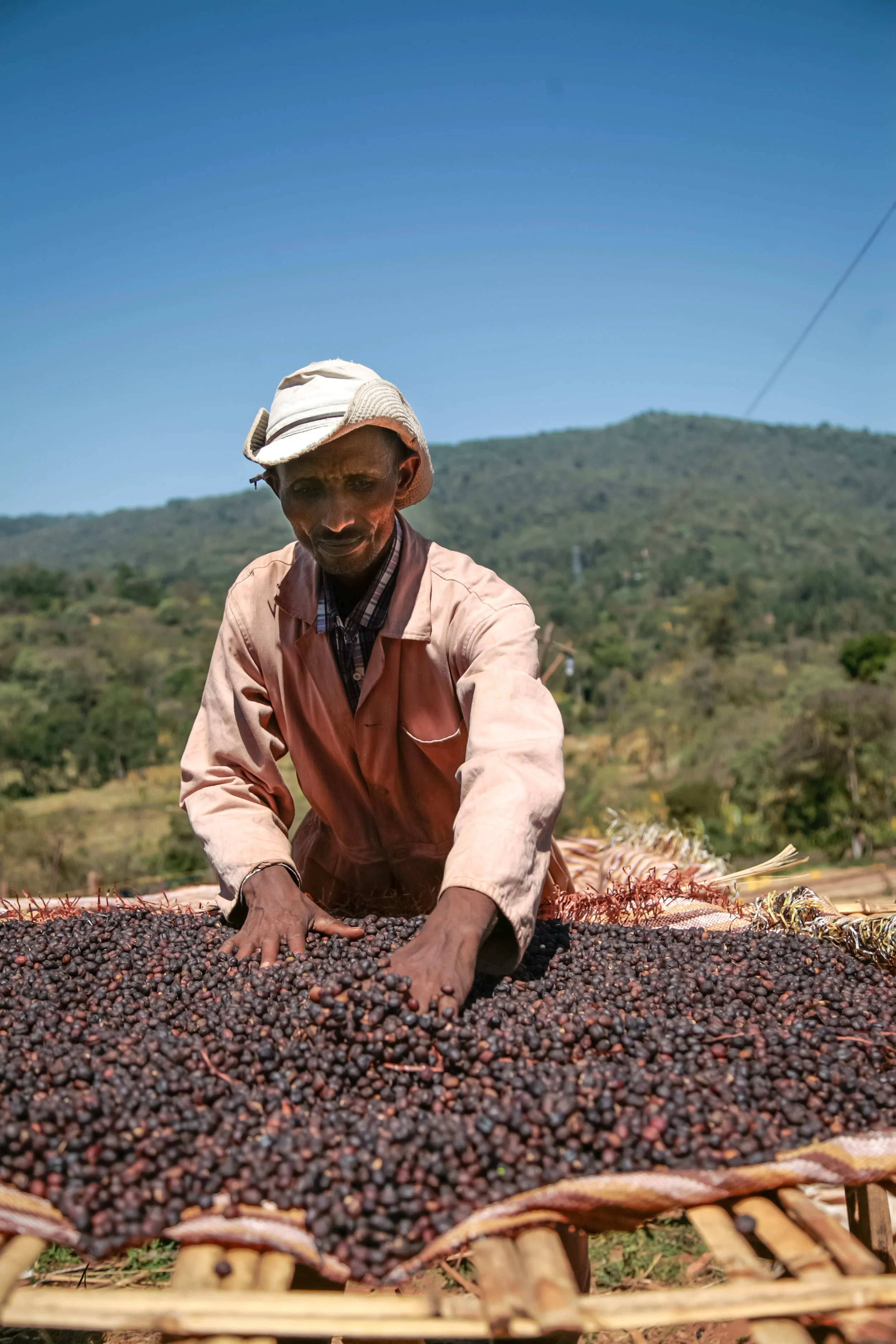 Ardi coffee drying in cherry in the Sidamo-Guji zone of Ethiopia, Jan 2017,