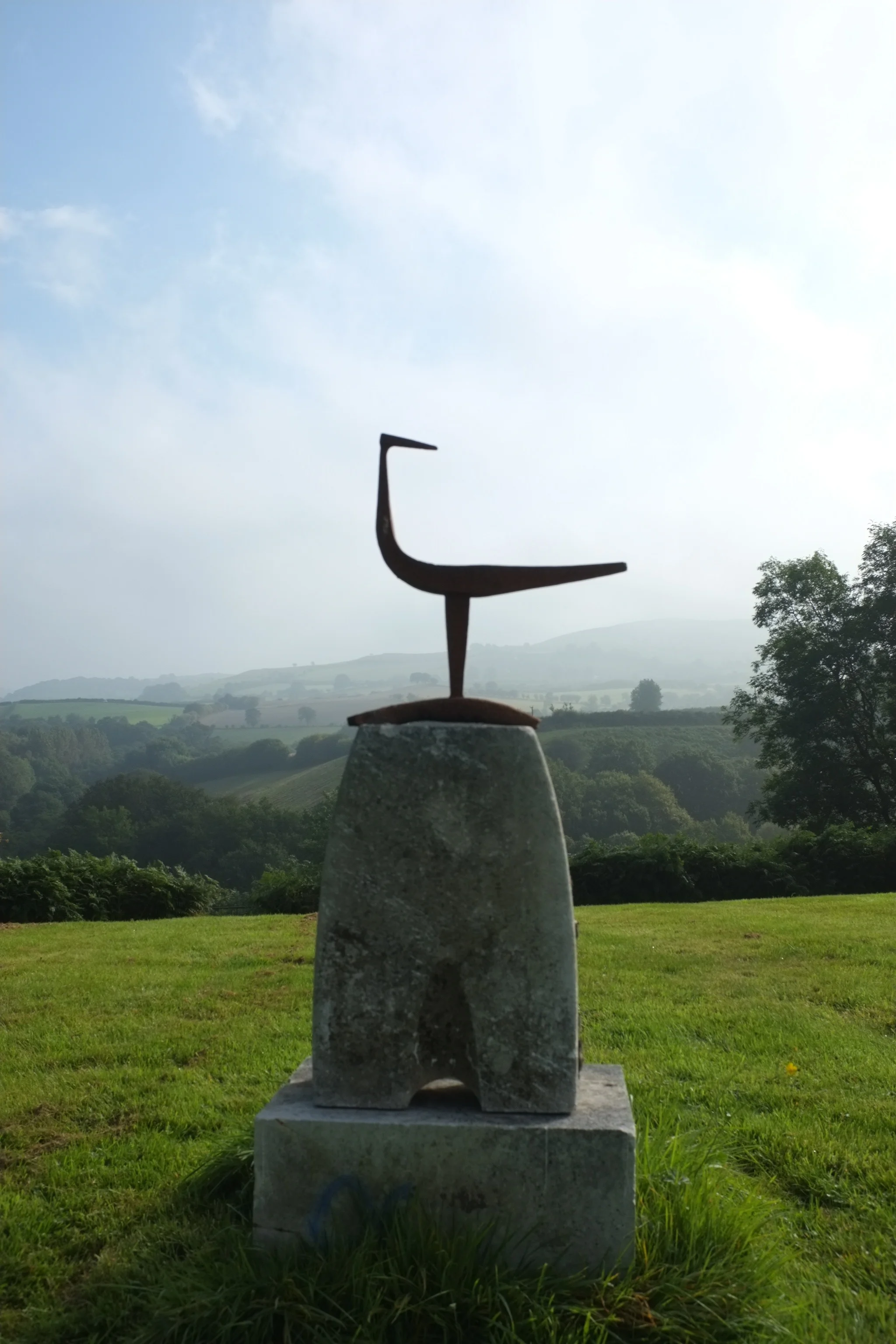 Bird on stone