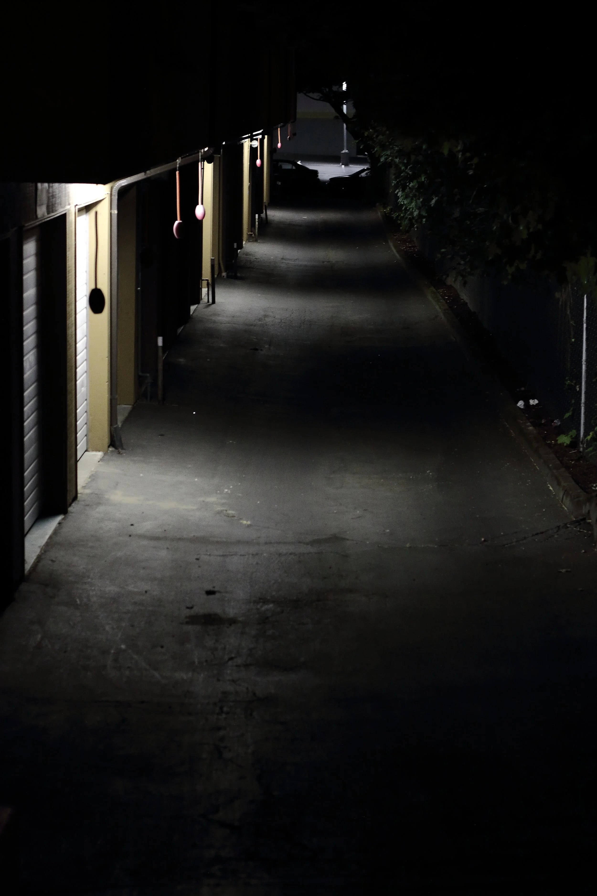 365_0014.JPG