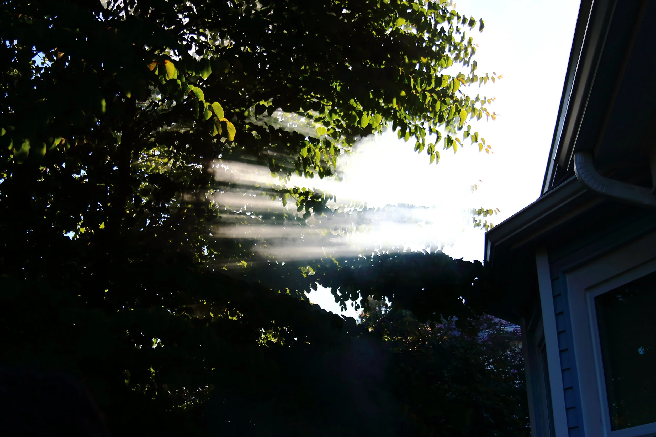 365_0027.JPG