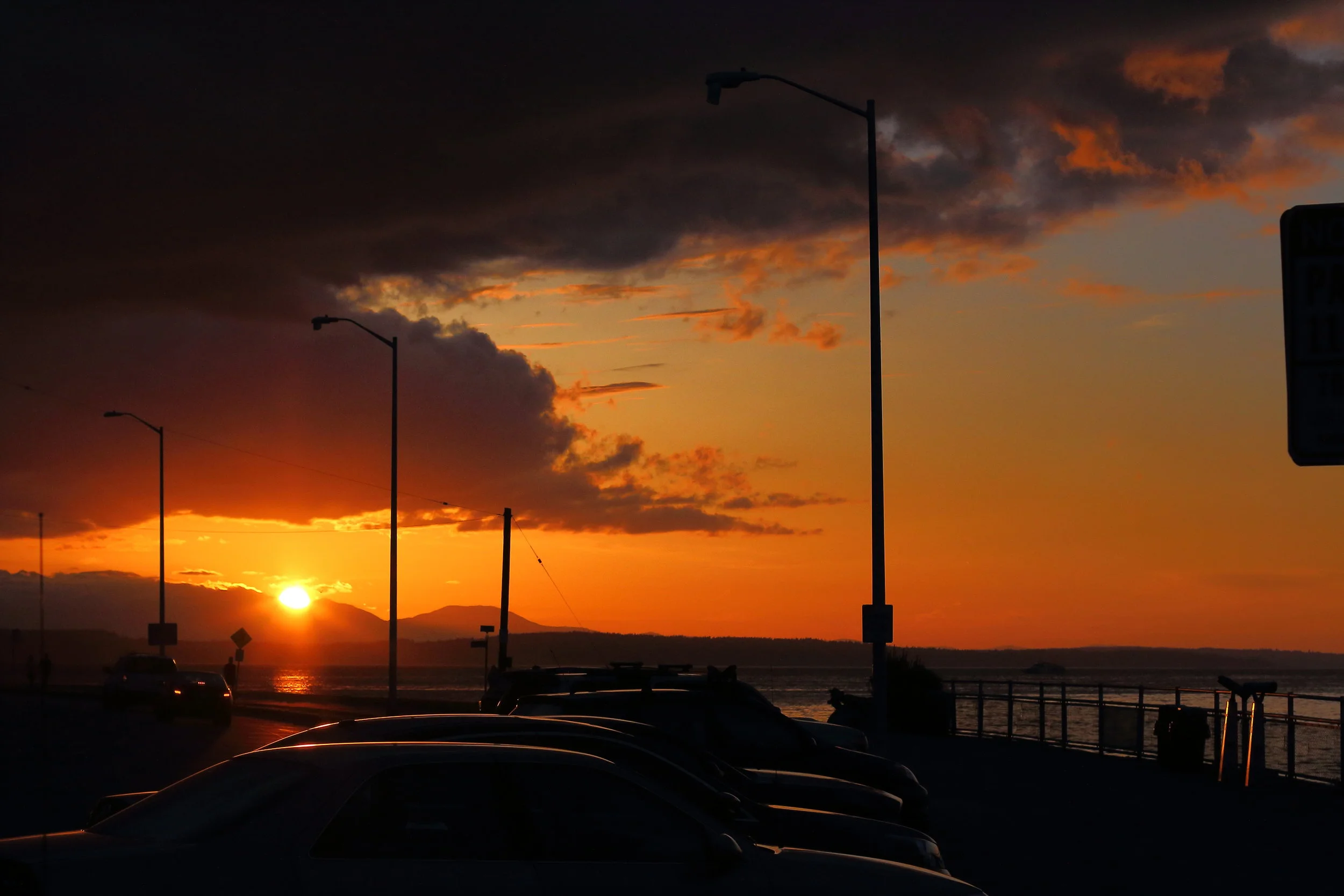 365_0015.JPG