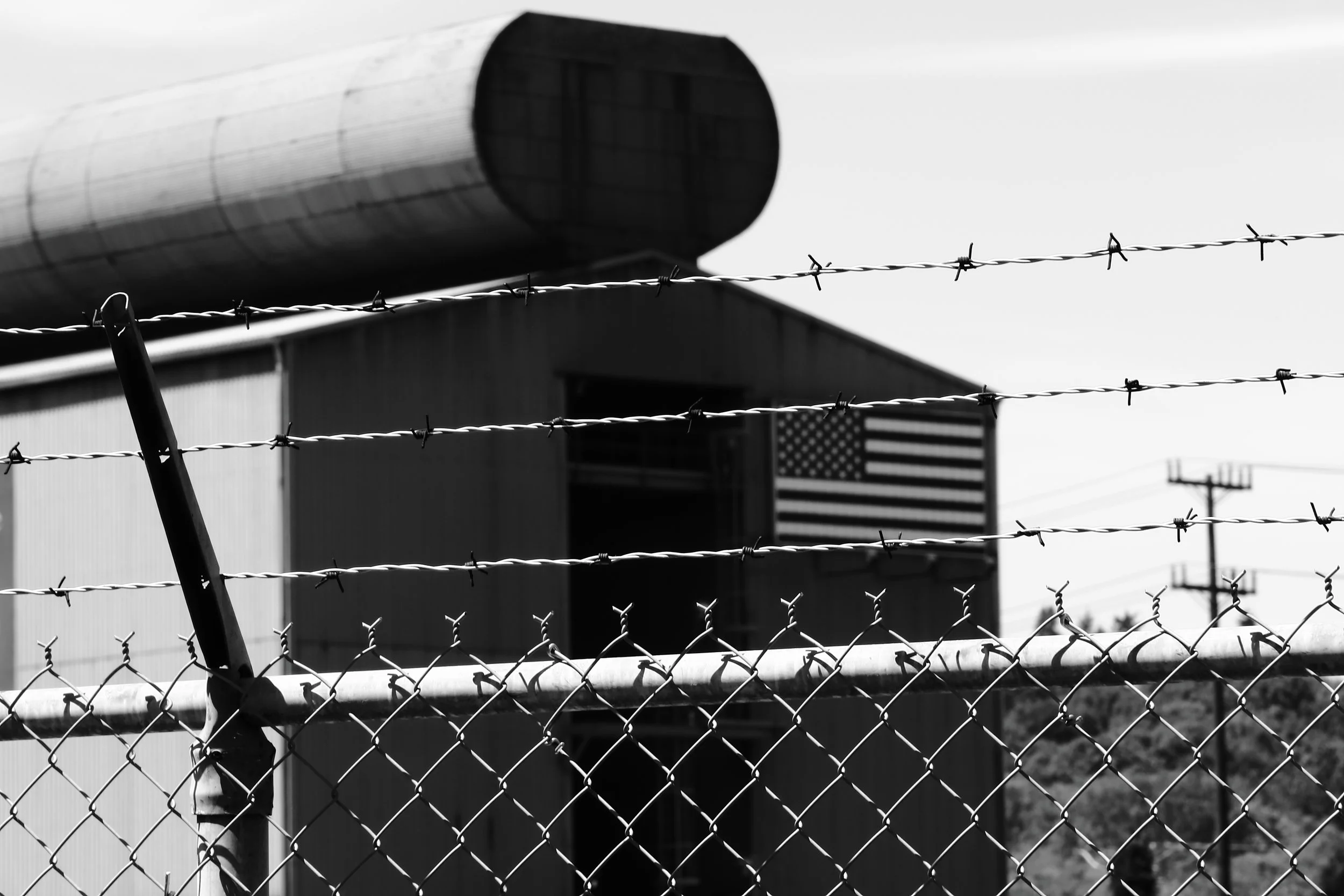 365_037.JPG