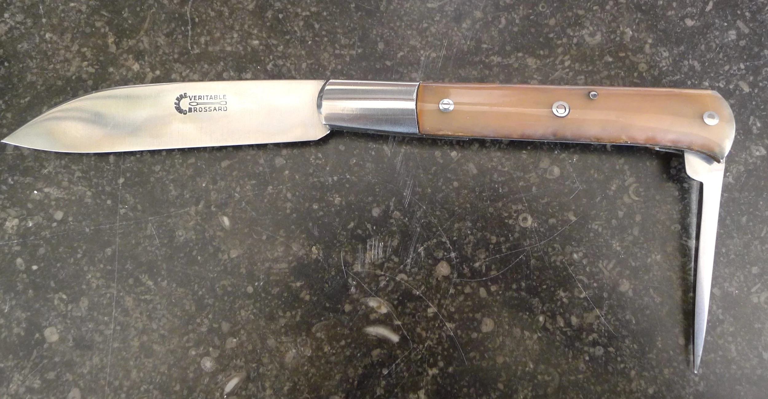 24/Issoire Yssingeaux, Corne, 21cm.