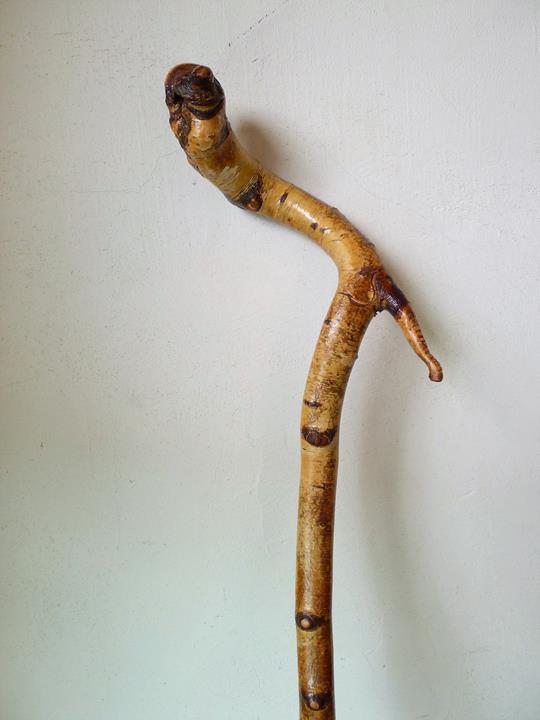 13/Canne au fût ayant gardé son écorce. LE pommeau figure une tête de personnage grotesque avec un corps de reptile (100cm)