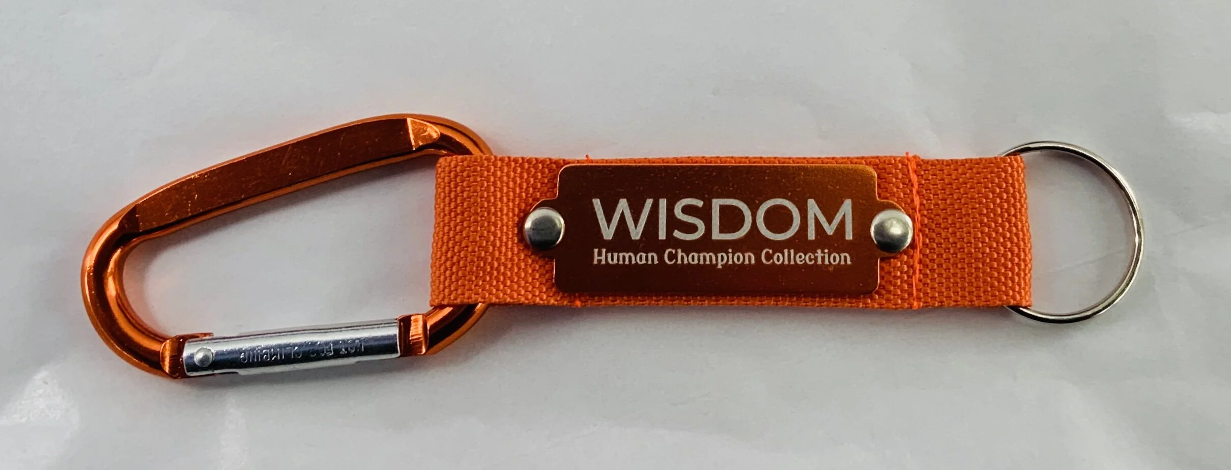 WebsiteWisdomKeychain.JPG