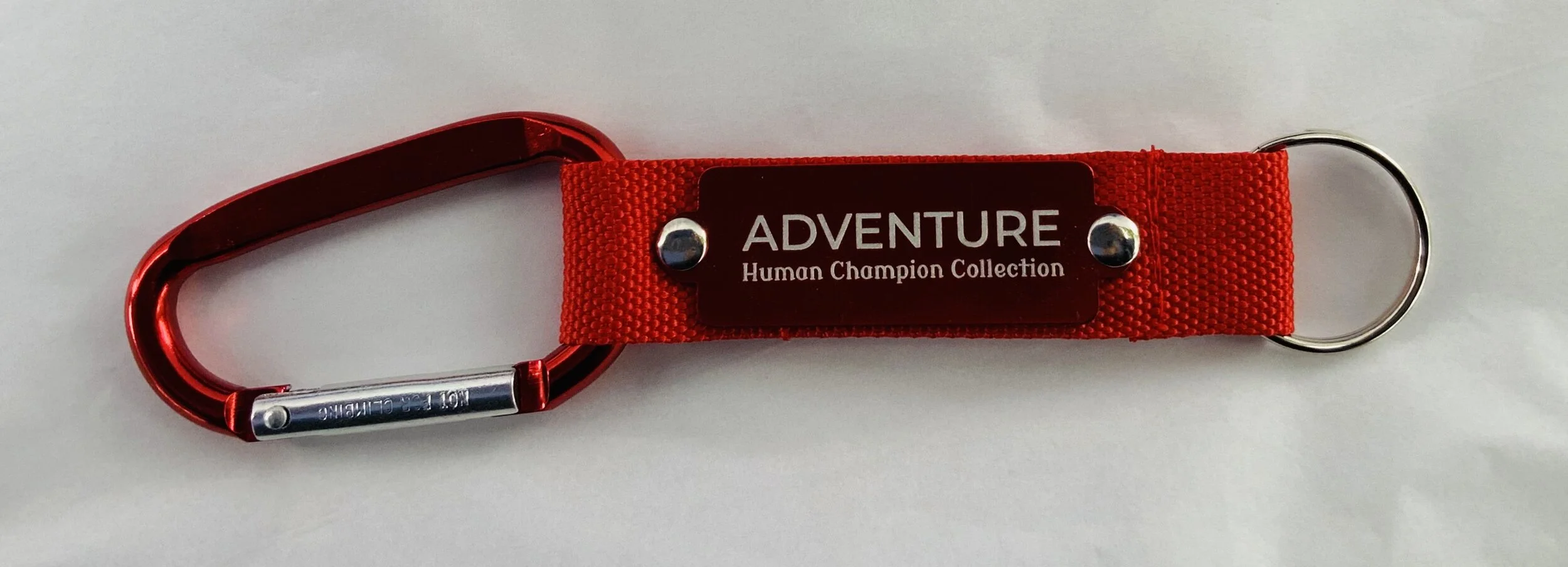WebsiteAdventureKeyChain.JPG
