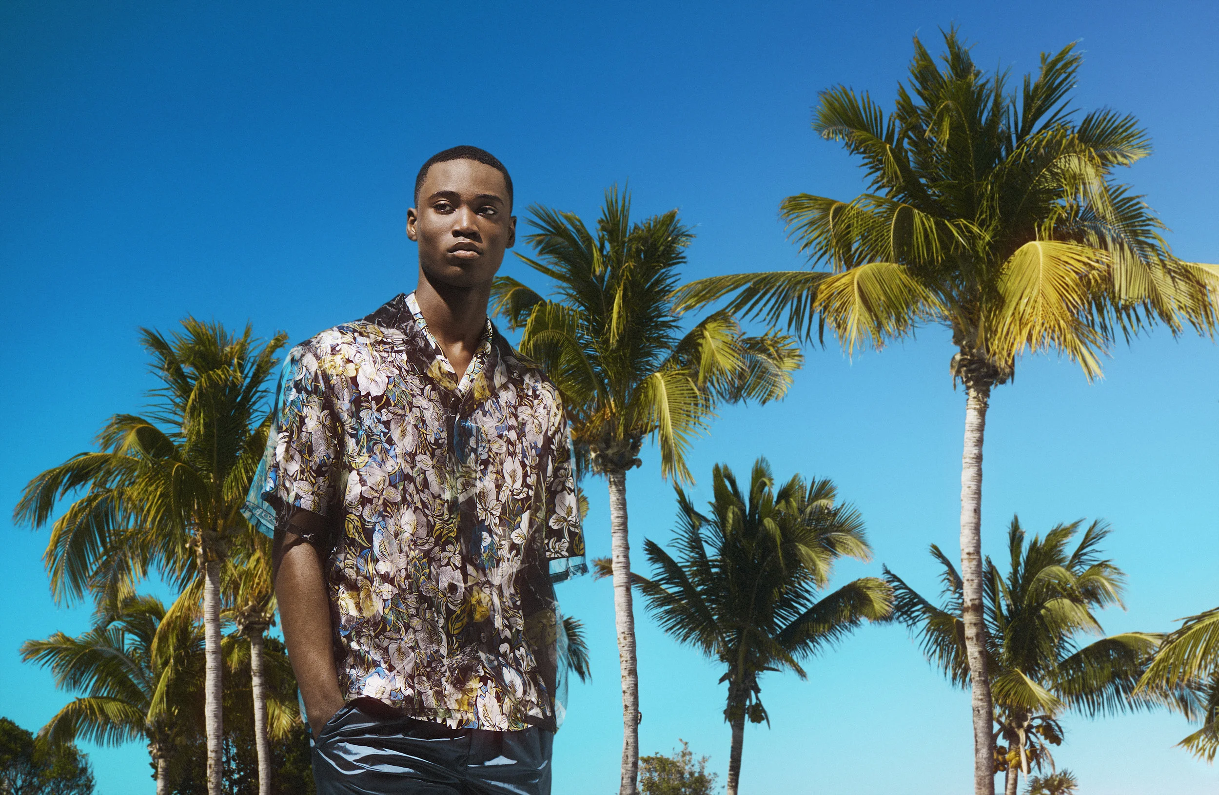 Luxure_LouisVuitton_PalmTrees.jpg