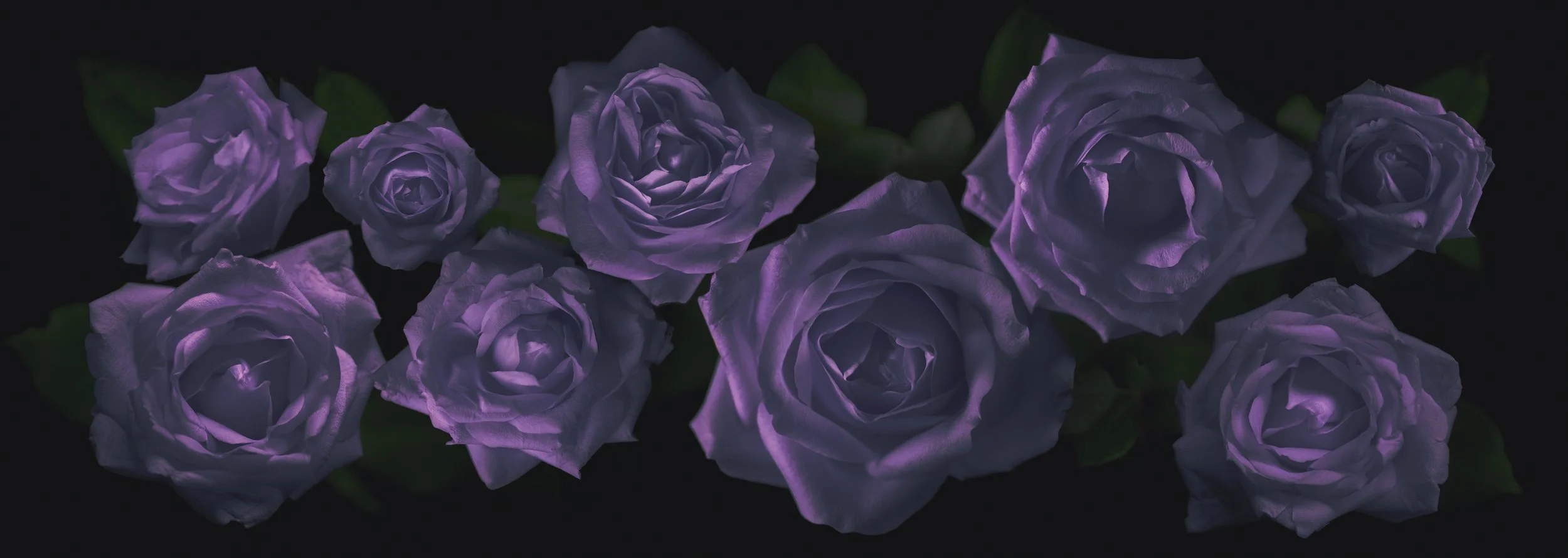 Flower-Ceiling_V4.jpg