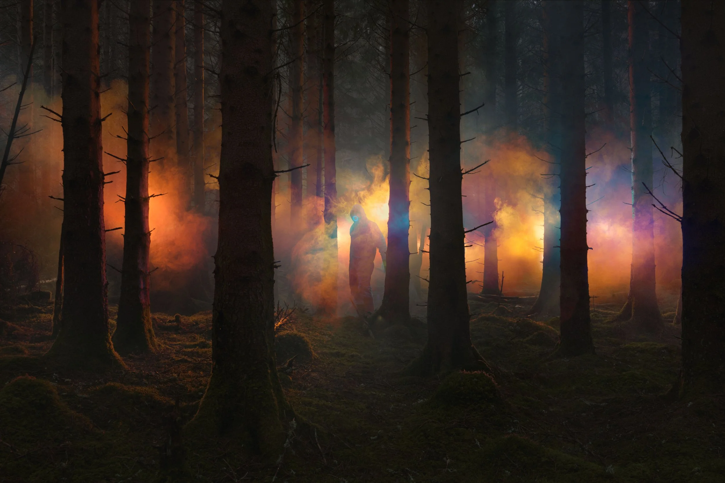 Dark Forest 1.jpg