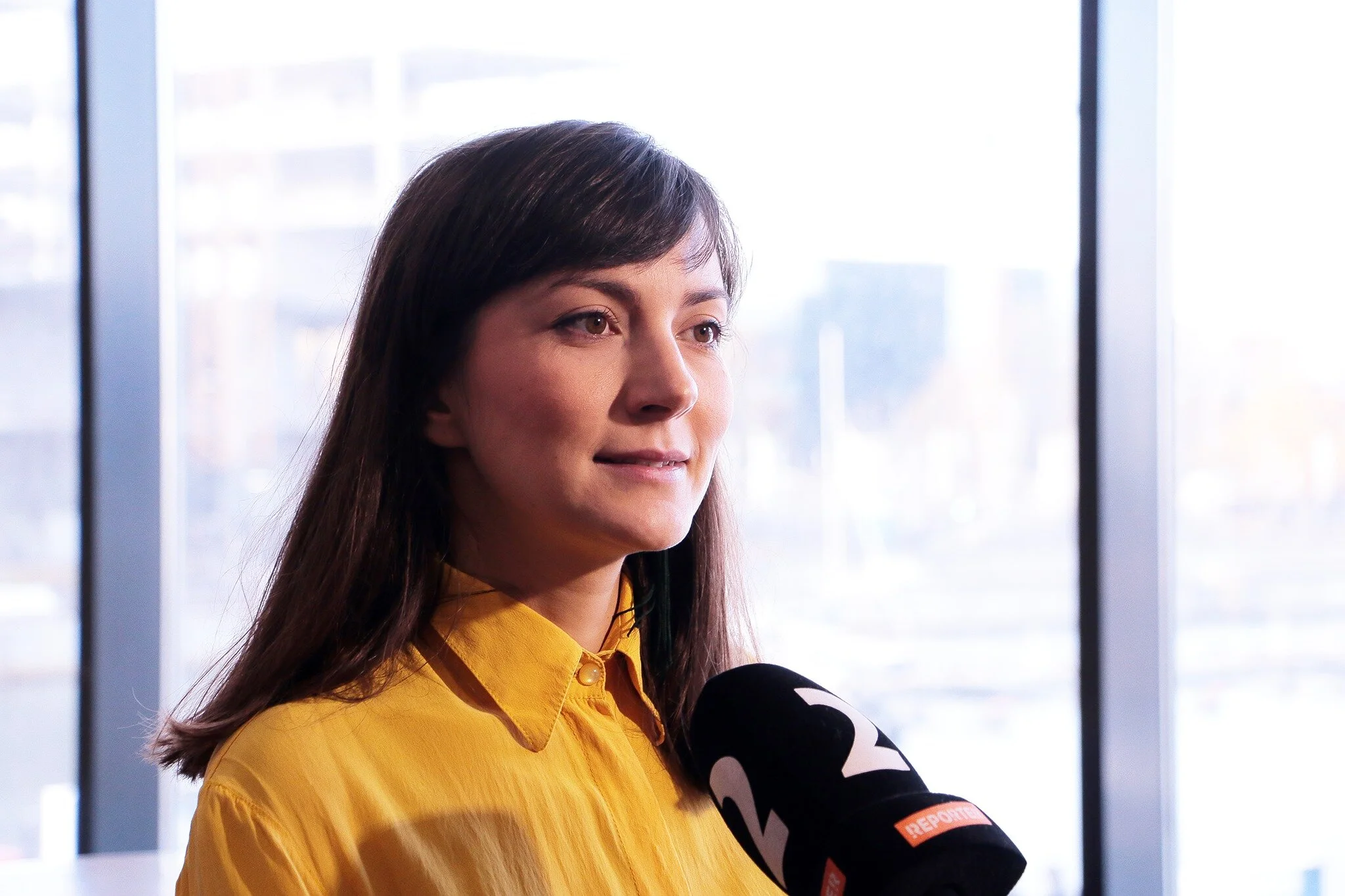 Kaja Kallas - Marika Priske valitsuse kaanetüdruk?