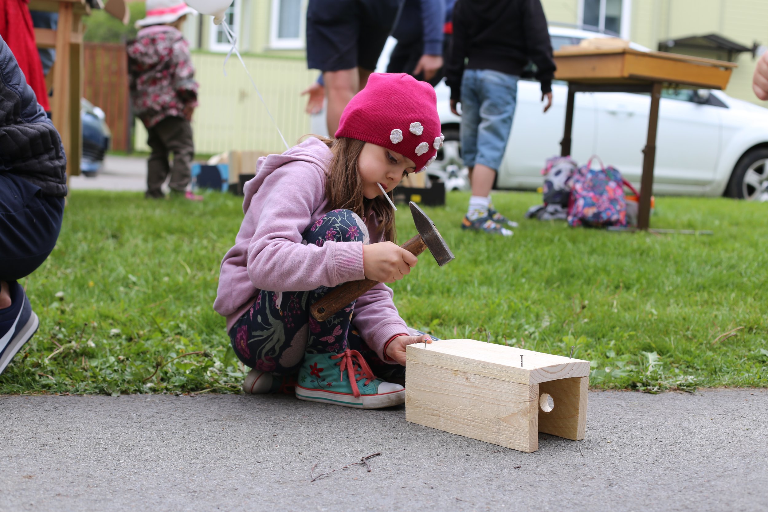 Energiaüleminek eeldab üksmeelt