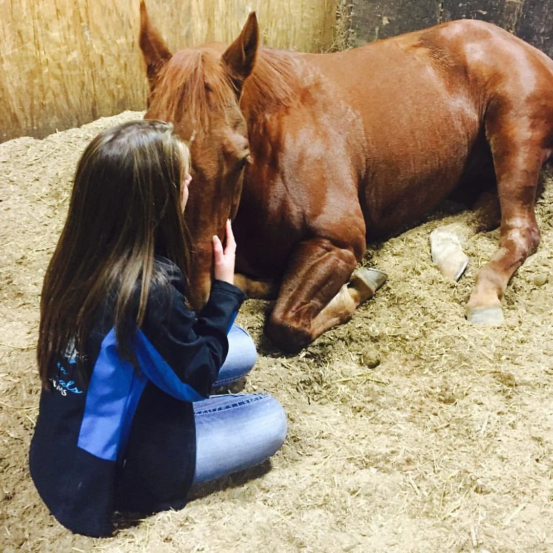 A girl with long brown hair kneeling on the barn floor, touching noses with a brown horse that is sitting in a stall.