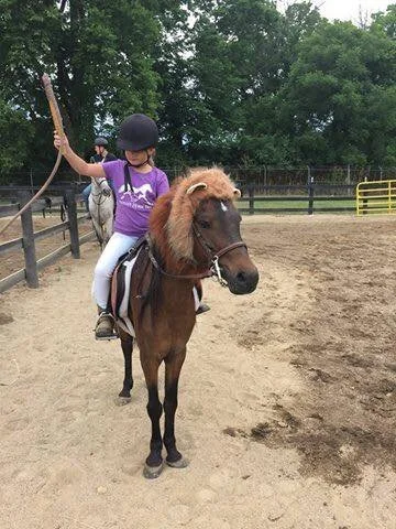 Girl riding a small brown horse with a lion mane hat, holding a stick, in a fenced outdoor area.