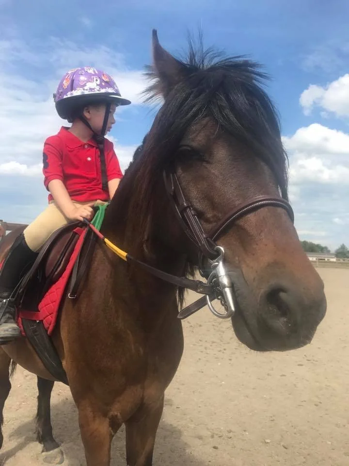 A young child wearing a purple helmet and red shirt riding a brown horse with a black mane in an open dirt area under a blue sky with clouds.