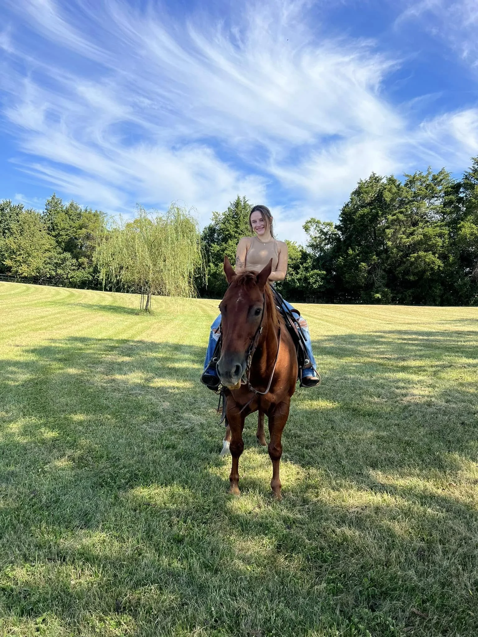 A woman riding a horse on a grassy field with trees in the background and a blue sky with wispy clouds overhead.