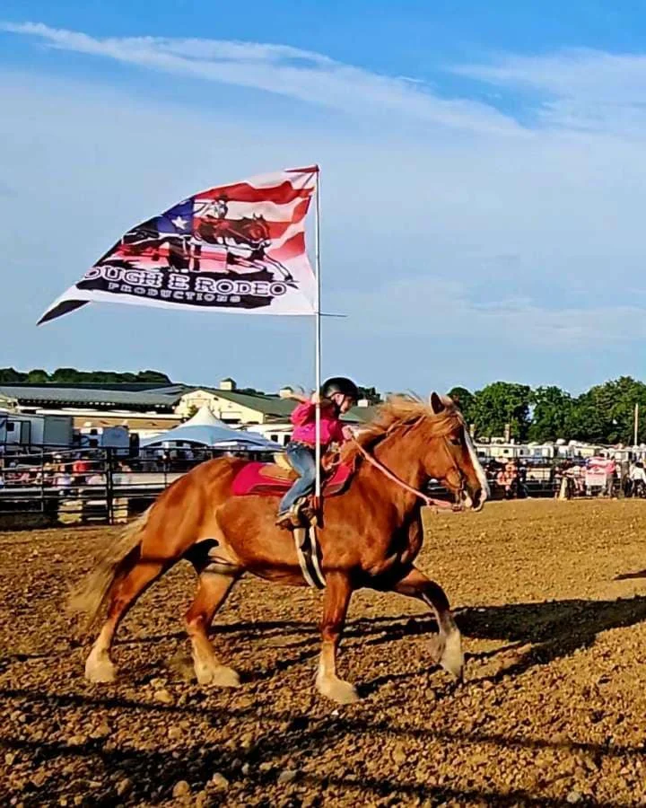 A girl riding a brown horse at a rodeo, holding a flag with the American flag and a rodeo logo.