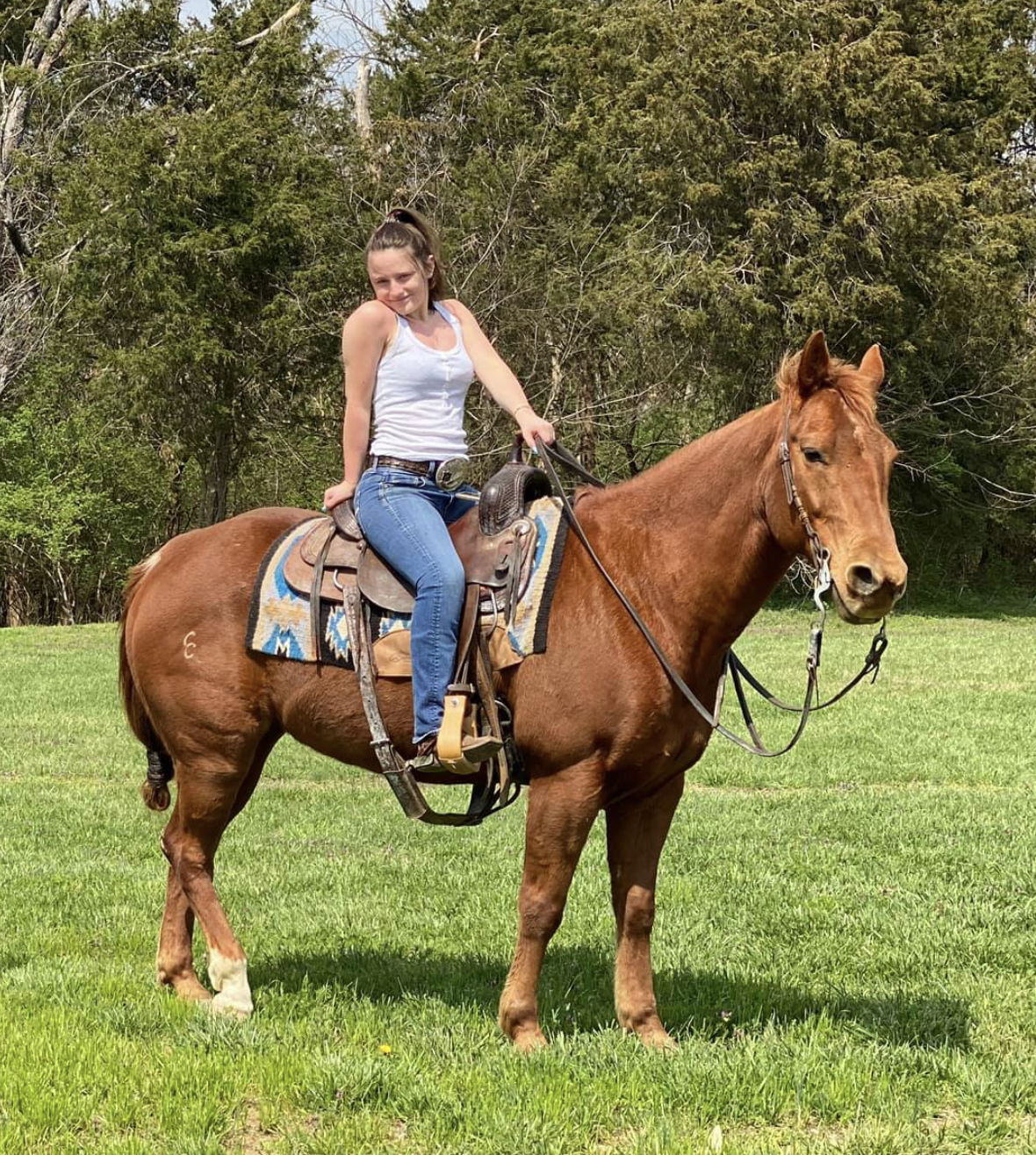A young woman with a ponytail riding a brown horse on a grassy field, with trees in the background.
