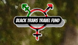 Green and brown rectangle with the "BLACK TRANS TRAVEL FUND" logo inside. The text sits in a rounded rectangle placed over the transgender symbol depicted in green, black, and red stripes.